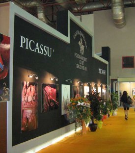 PİCASSU AYAKKABI